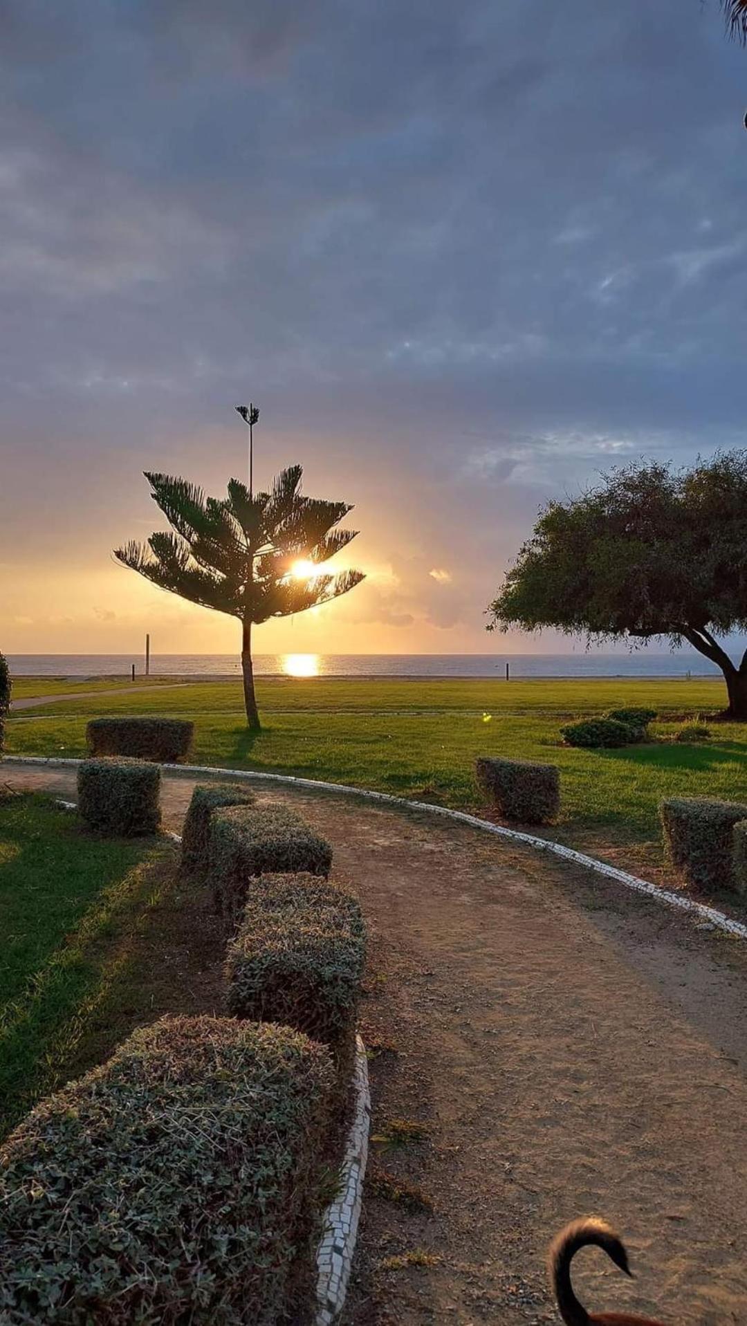 Apartamento Magic World Nueva Marina D'Or 2 Dormitorios Edificio Torremar Oropesa del Mar Extérieur photo